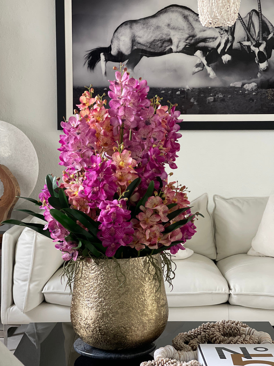 Grand Delaney Coupe avec Mélangé Mokara Orchidées