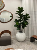 76 Cm Pot Globe avec Figuier Lyre Arbre