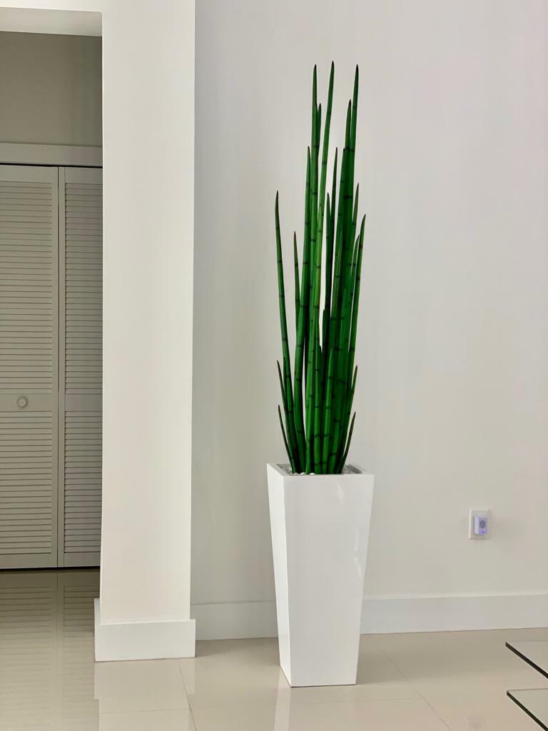 Sansevière (160 Cm) avec Beau M Pot en Blanc Brillant