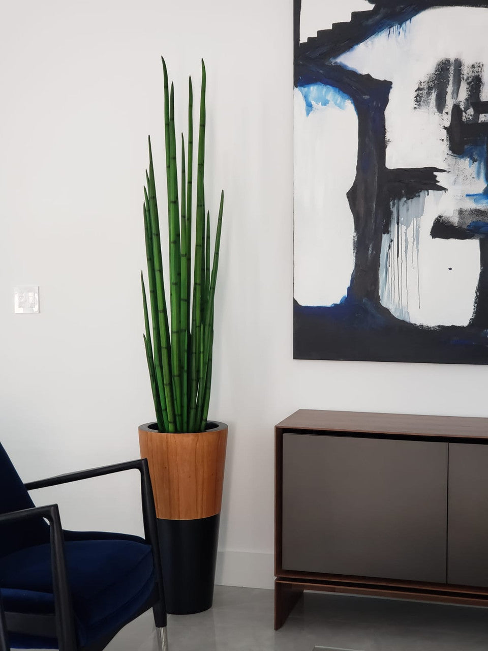 Sansevière (160 Cm) avec Lux Pot en Noir