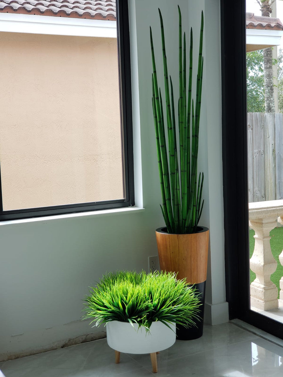 Sansevière (160 Cm) avec Lux Pot en Noir
