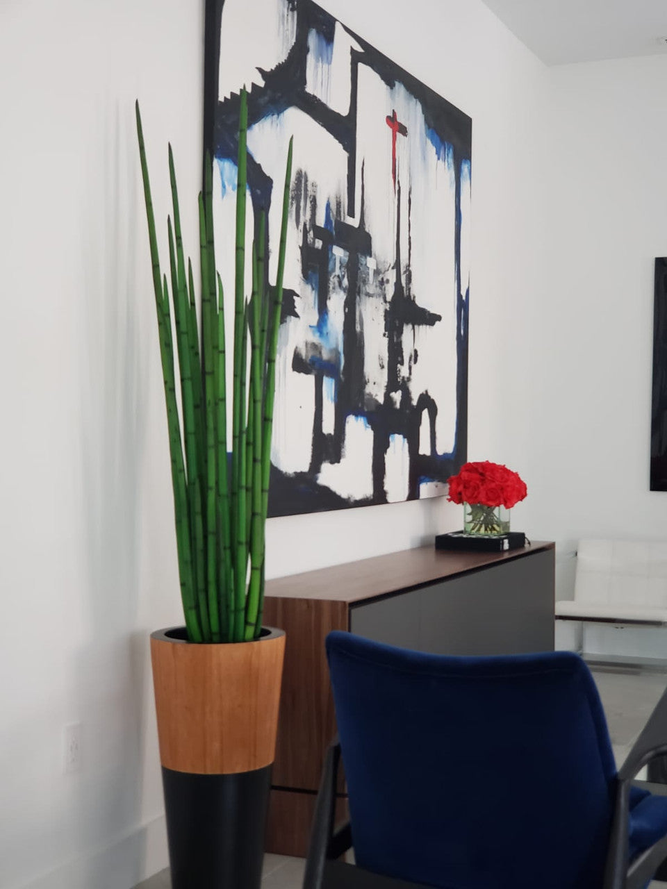 Sansevière (160 Cm) avec Lux Pot en Noir