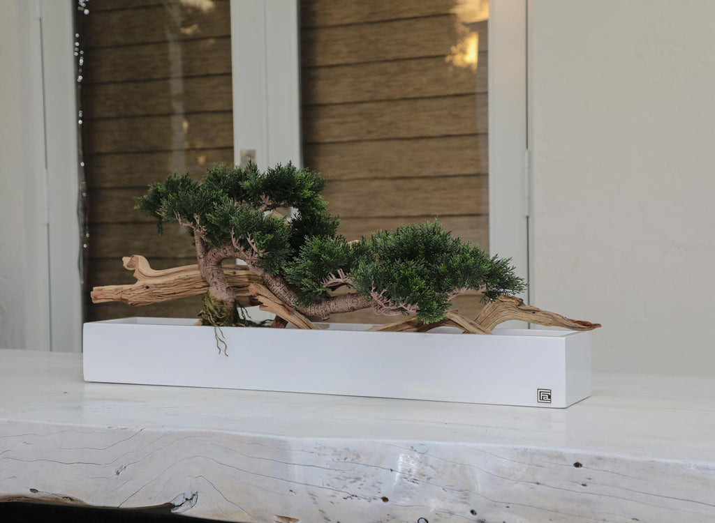 Trailing Cedar Bonsaï en Balcony Pot