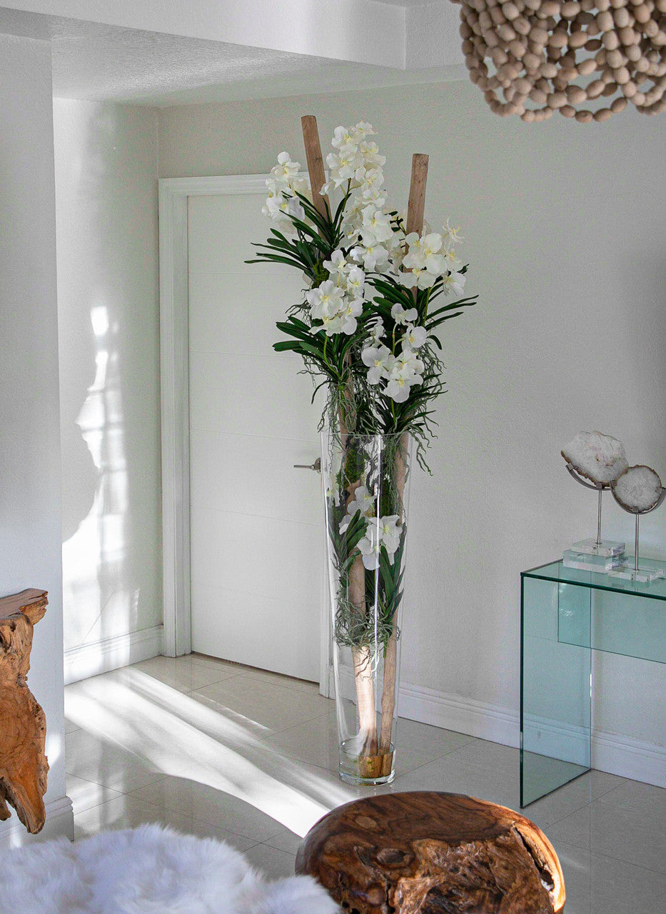 Blanc Orchidées Vanda et Bois Flotté dans Xxl Cylindre Verre Évasé