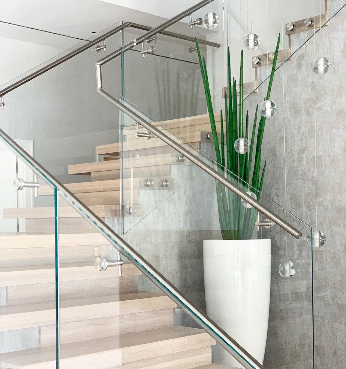 Sansevière (160 Cm) avec Dax Xl Pot en Blanc Brillant