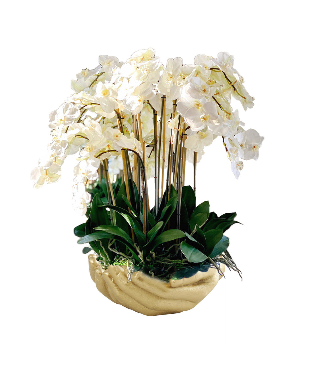 Blanc Orchidées Phalaenopsis en Doré Vase Sculpture Mains Ouvertes