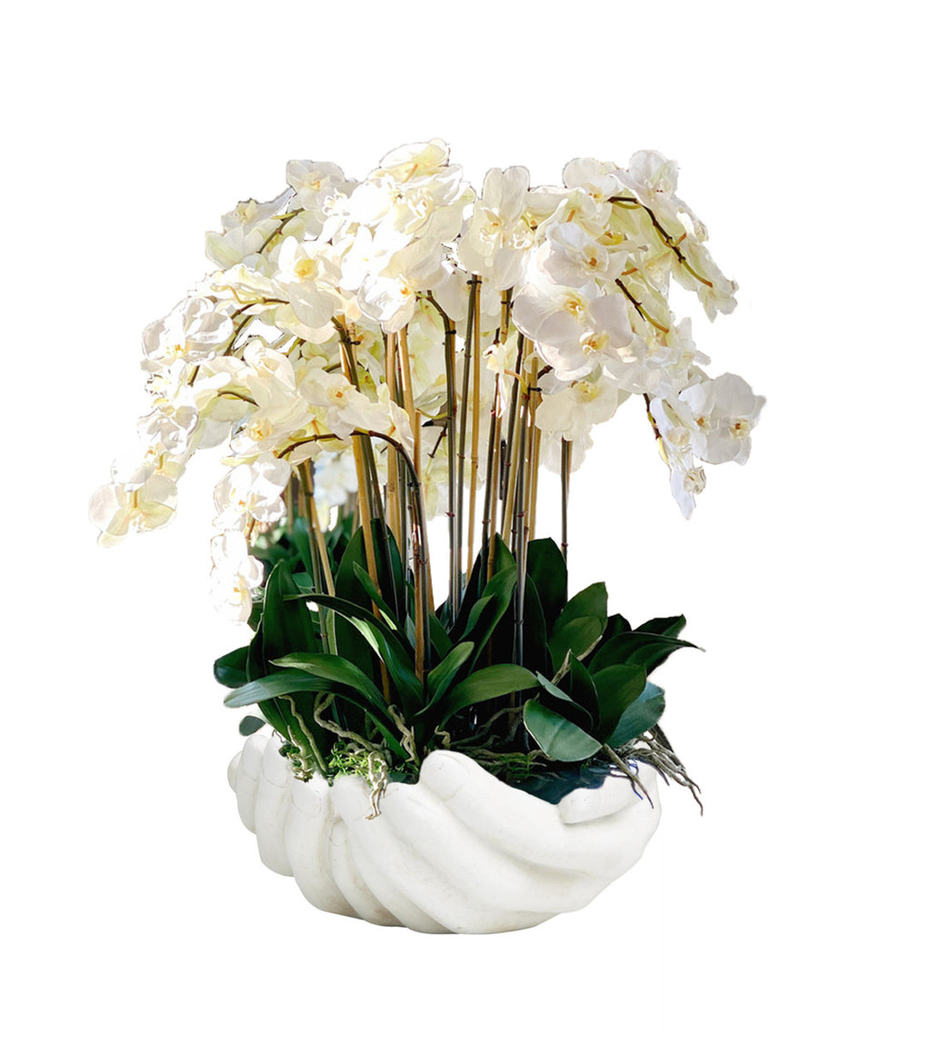 Blanc Orchidées Phalaenopsis en Blanc Vase Sculpture Mains Ouvertes
