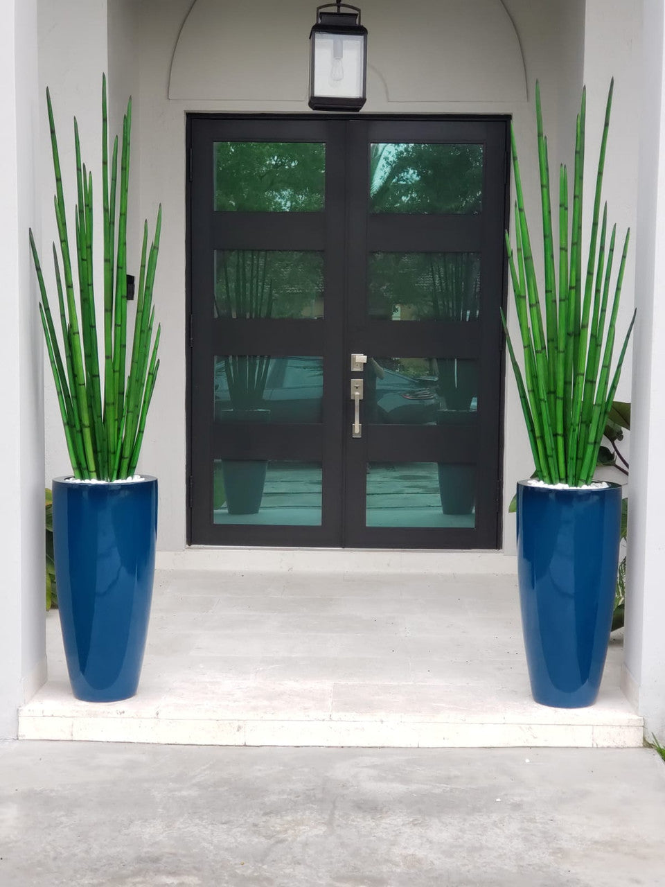 Sansevière (160 Cm) avec Dax L Pot en Dark Teal