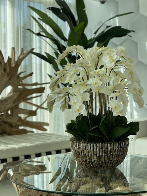 Très Grand Abalone Vase avec Cascading Blanc Orchidées
