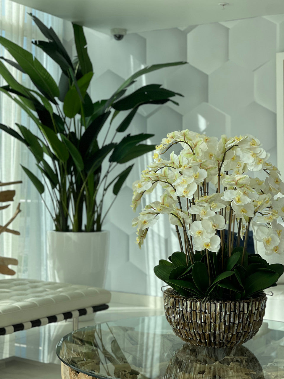 Très Grand Abalone Vase avec Cascading Blanc Orchidées