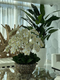 Très Grand Abalone Vase avec Cascading Blanc Orchidées