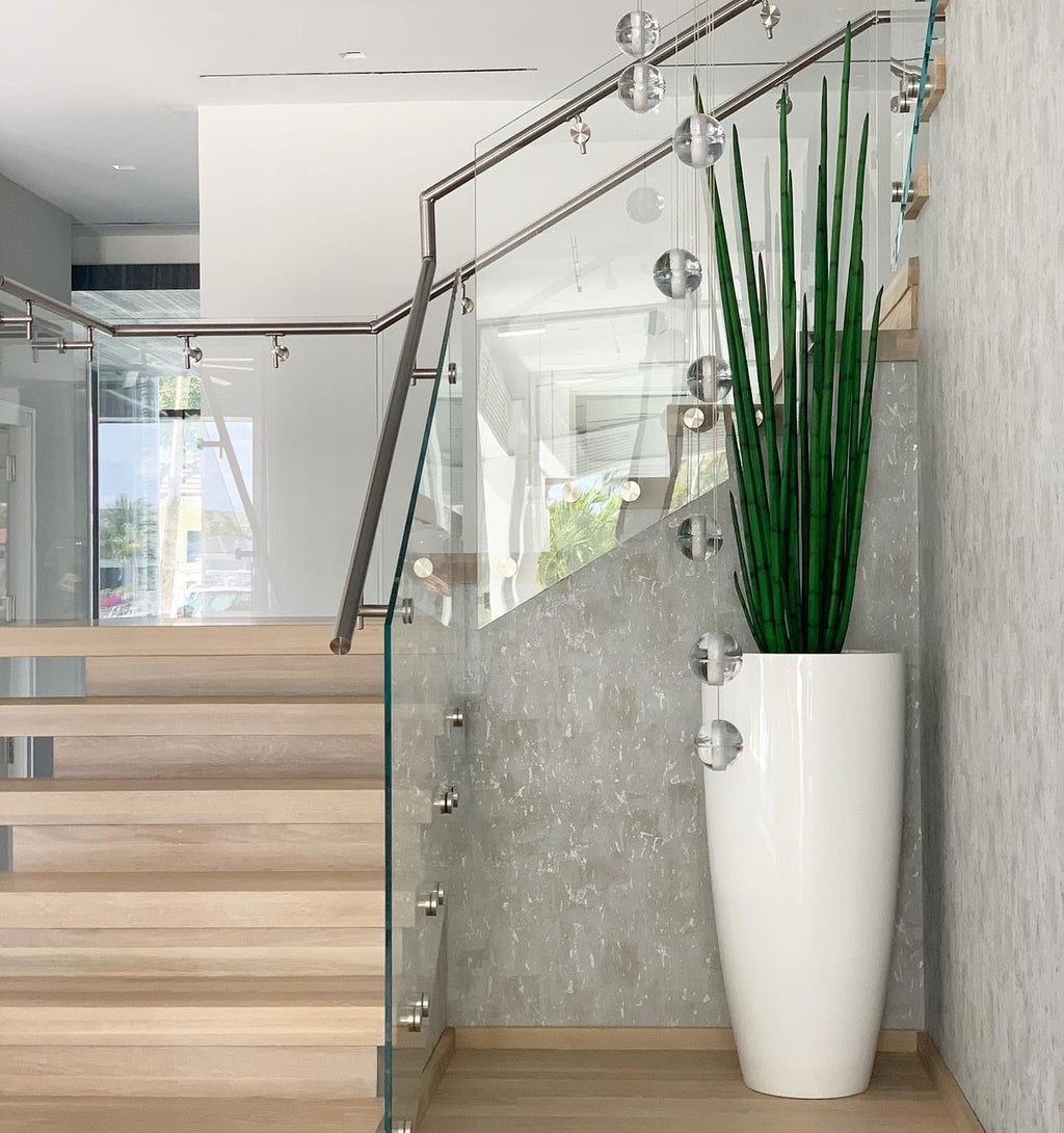 Sansevière (160 Cm) avec Dax Xl Pot en Blanc Brillant
