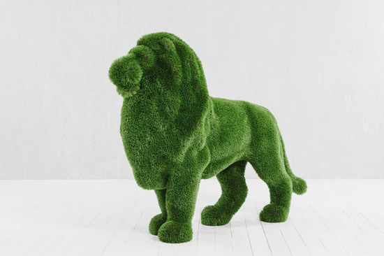 Lion Debout