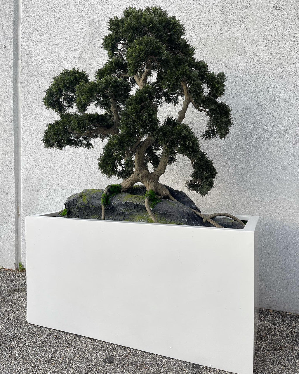 Rock Embedded Bonsaï avec Block M Pot