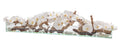 122 Cm Casa Moderna Pot Plateau en Verre avec Blanc Orchidées