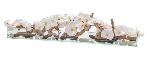 122 Cm Casa Moderna Pot Plateau en Verre avec Blanc Orchidées