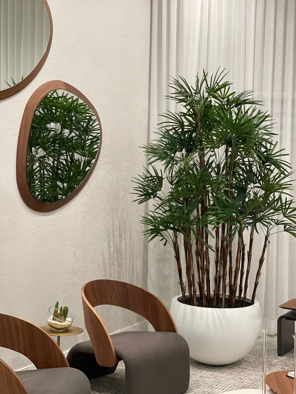Blanc Terragona Pot avec Palmier Rhapis