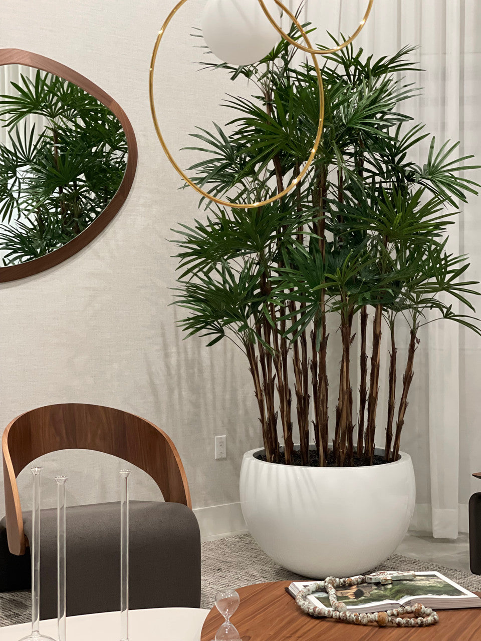 Blanc Terragona Pot avec Palmier Rhapis