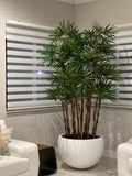 Blanc Terragona Pot avec Palmier Rhapis
