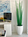 Alicante Pot en Blanc Brillant avec Sansevière (160 Cm)