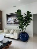 76 Cm Bleu Pot Globe avec Figuier Lyre Arbre