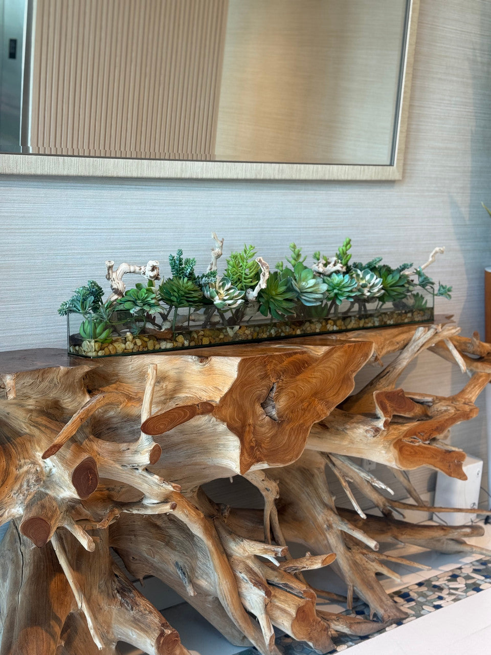 122 Cm Casa Moderna Rectangular Glass Pot avec Succulentes et Bois Flotté
