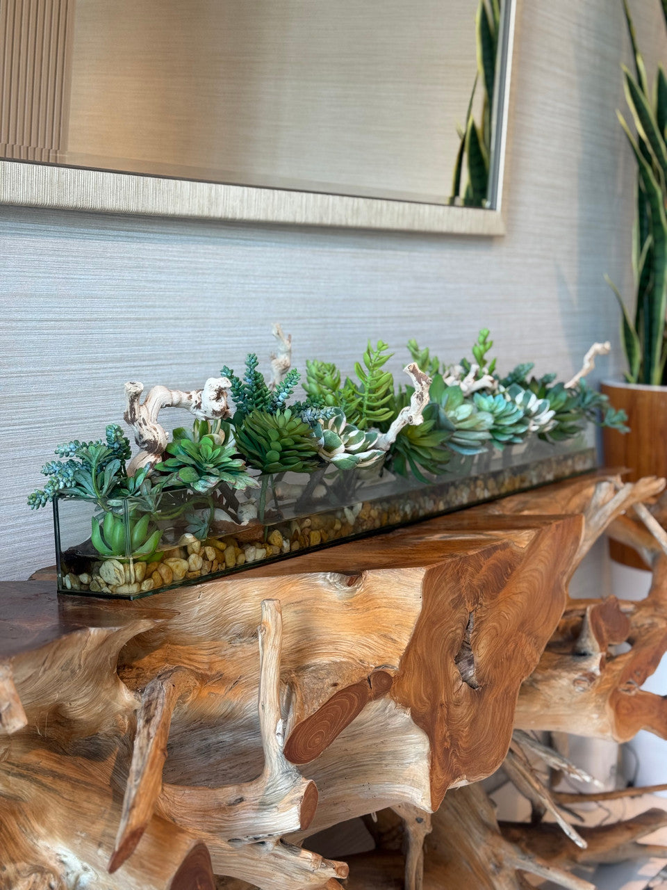 122 Cm Casa Moderna Rectangular Glass Pot avec Succulentes et Bois Flotté