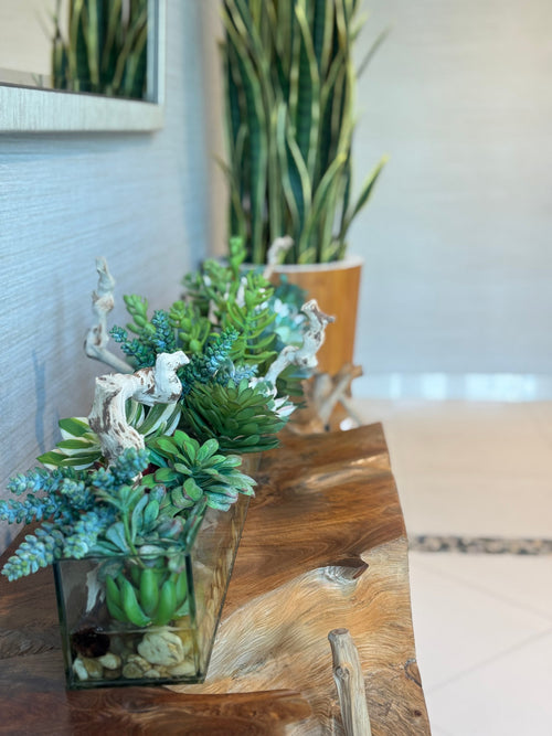 122 Cm Casa Moderna Rectangular Glass Pot avec Succulentes et Bois Flotté