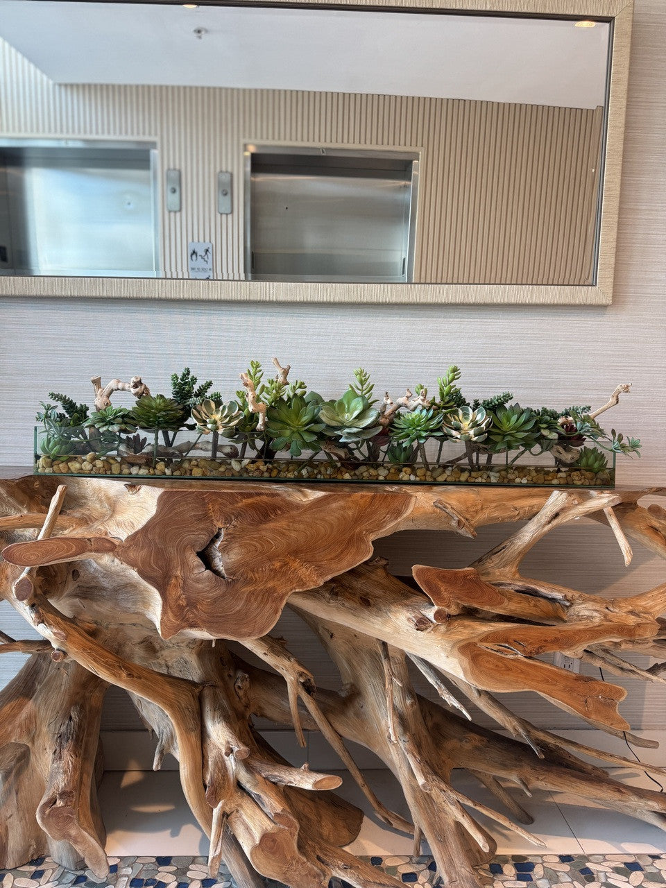 122 Cm Casa Moderna Rectangular Glass Pot avec Succulentes et Bois Flotté
