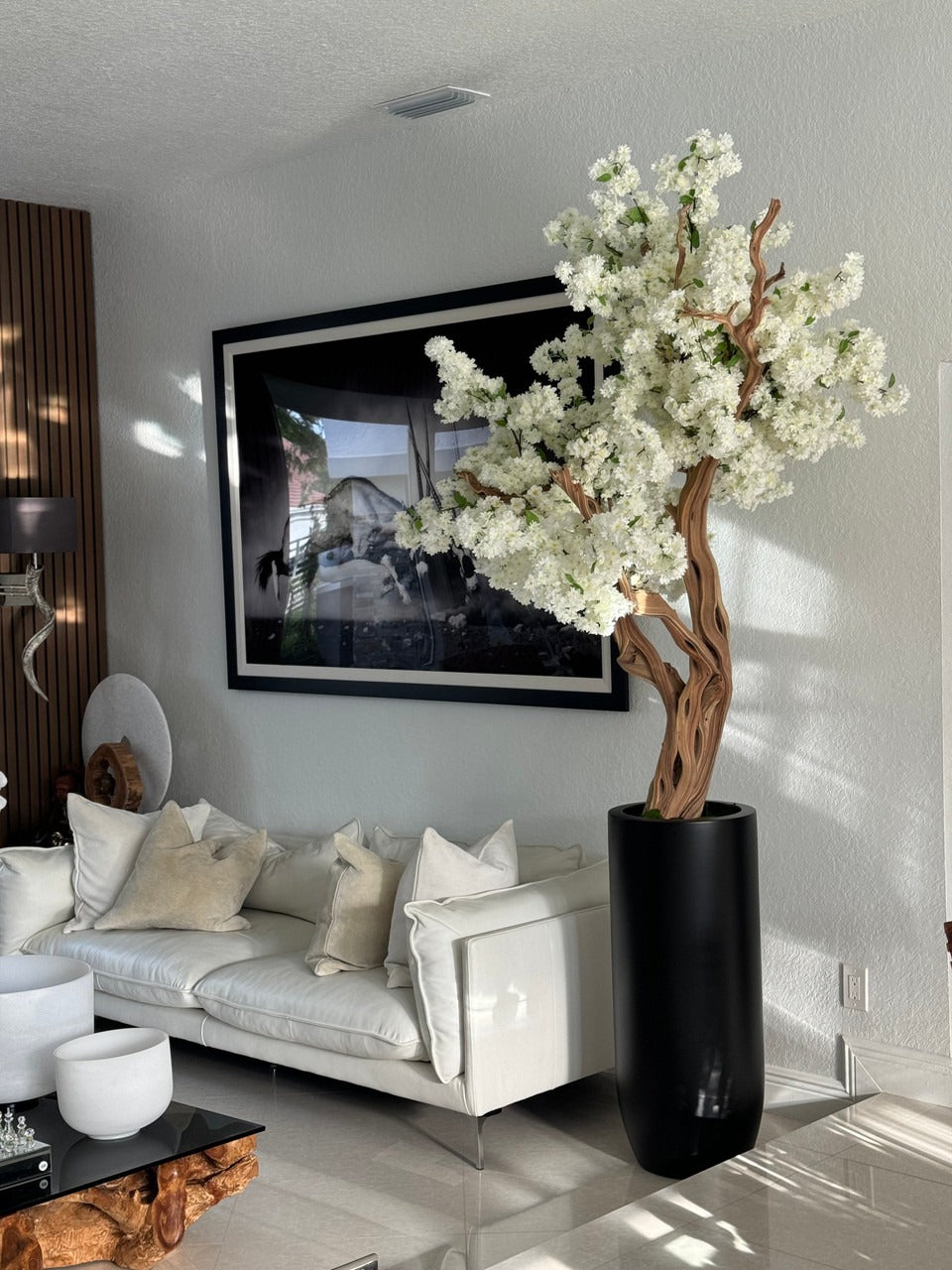 Noir Mat St. Tropez Pot avec Personnalisé Made Blanc Fleurs de Cerisier Arbre