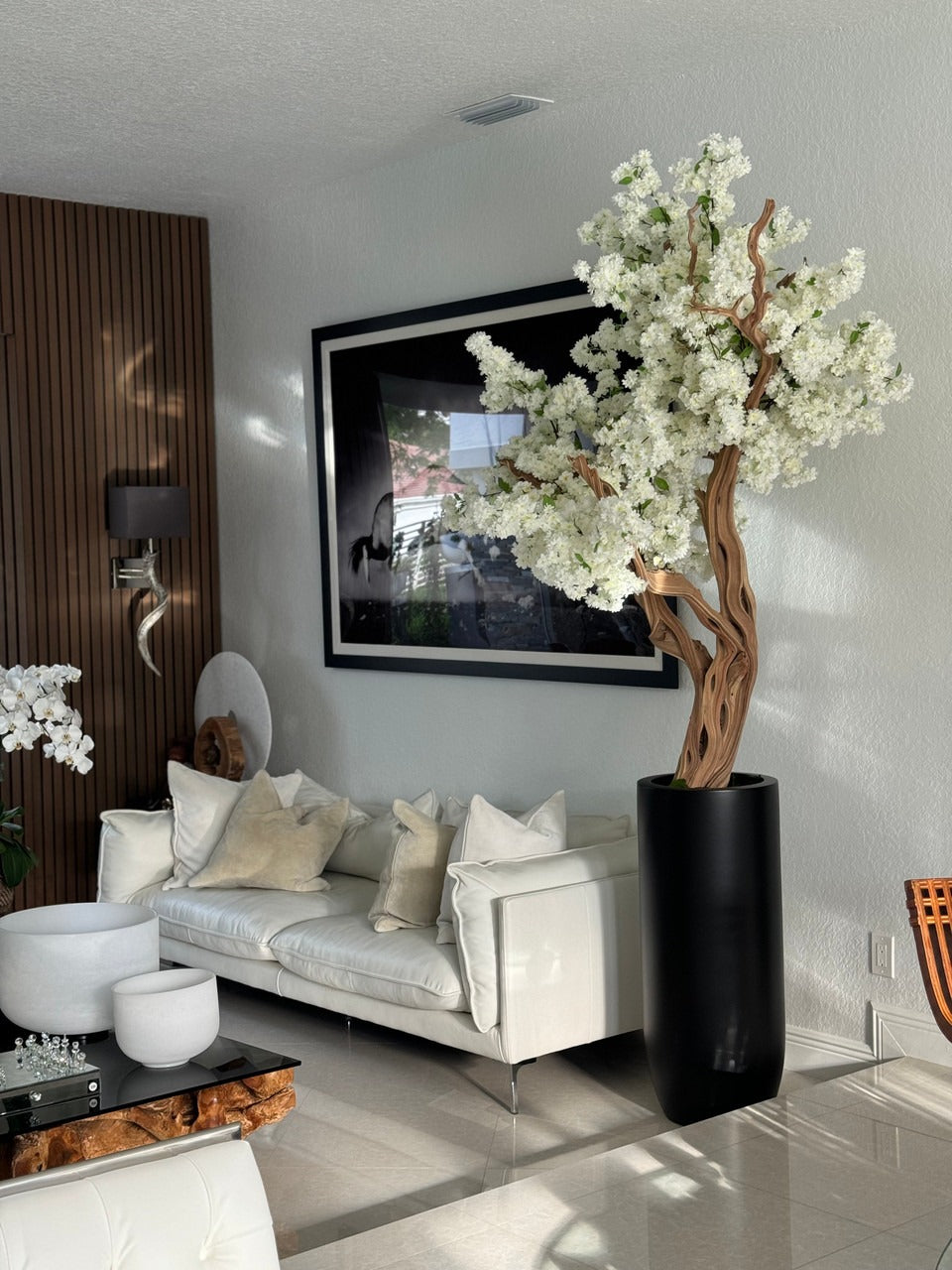 Noir Mat St. Tropez Pot avec Personnalisé Made Blanc Fleurs de Cerisier Arbre
