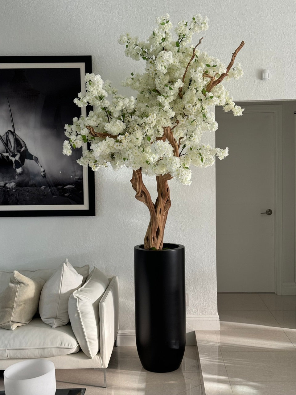 Noir Mat St. Tropez Pot avec Personnalisé Made Blanc Fleurs de Cerisier Arbre