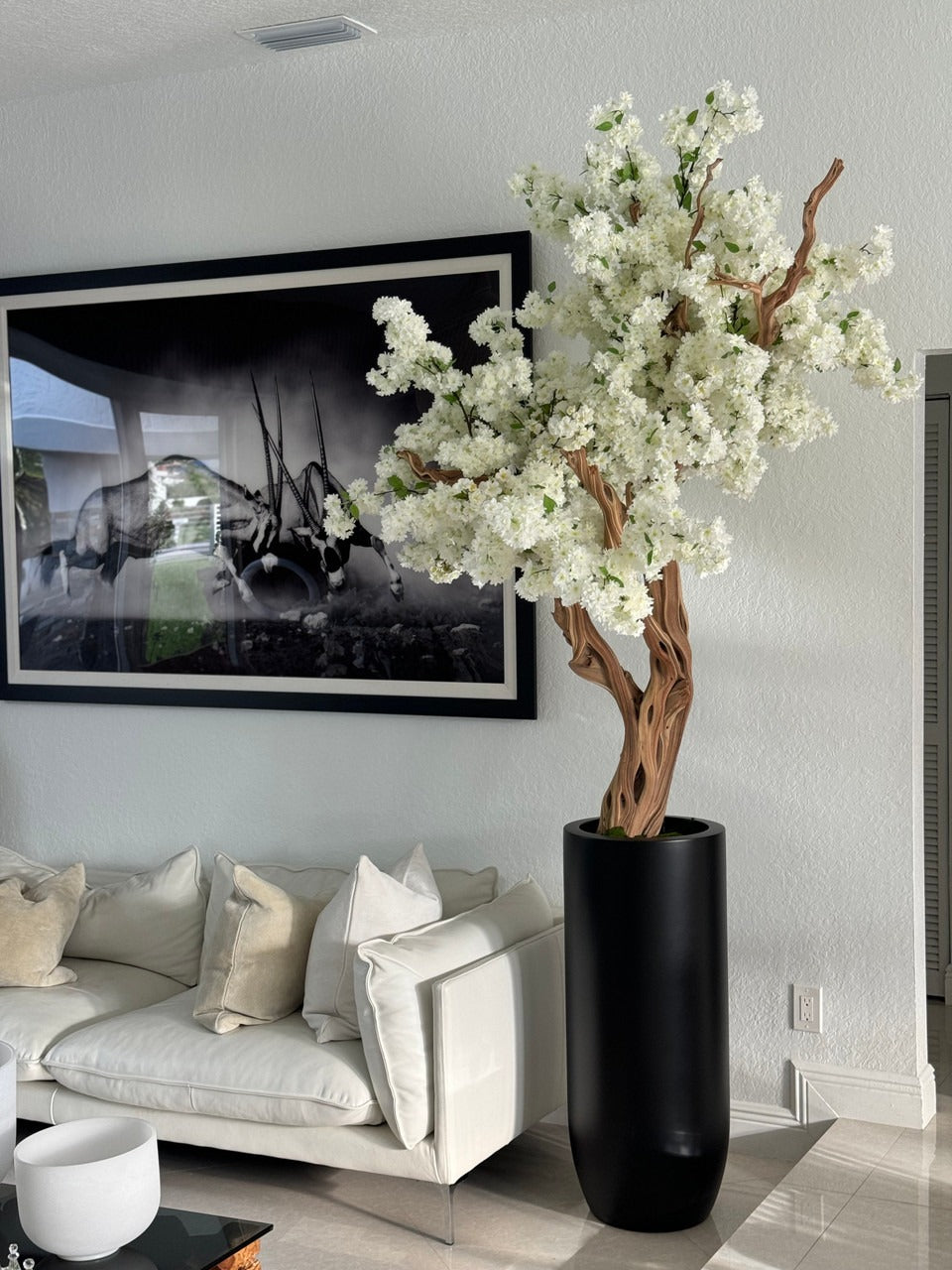 Noir Mat St. Tropez Pot avec Personnalisé Made Blanc Fleurs de Cerisier Arbre