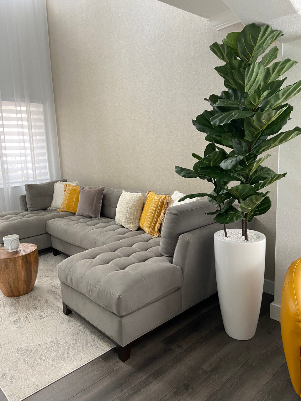 Figuier Lyre Arbre avec Dax L Blanc Brillant Fibre de Verre Pot