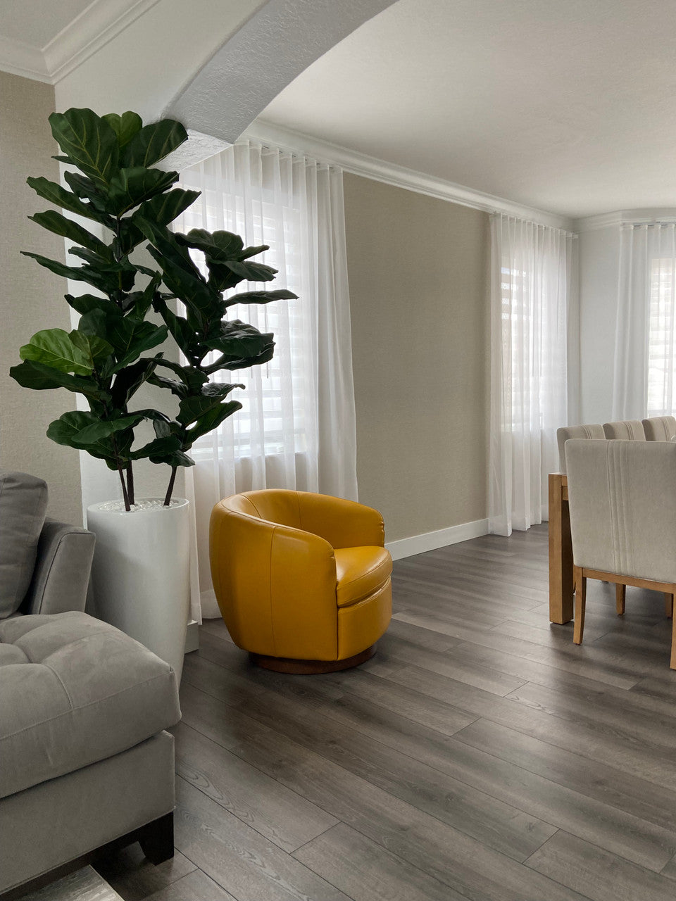 Figuier Lyre Arbre avec Dax L Blanc Brillant Fibre de Verre Pot