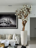 305 Cm Blanc Magnolia Arbre en Brillant Beige St. Tropez Pot