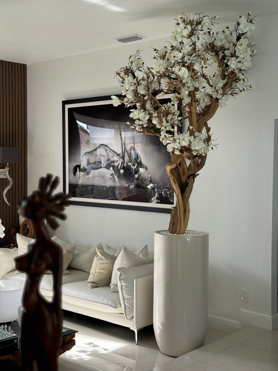 305 Cm Blanc Magnolia Arbre en Brillant Beige St. Tropez Pot