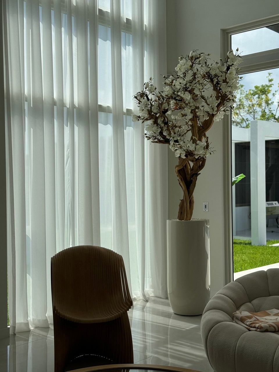 305 Cm Blanc Magnolia Arbre en Brillant Beige St. Tropez Pot