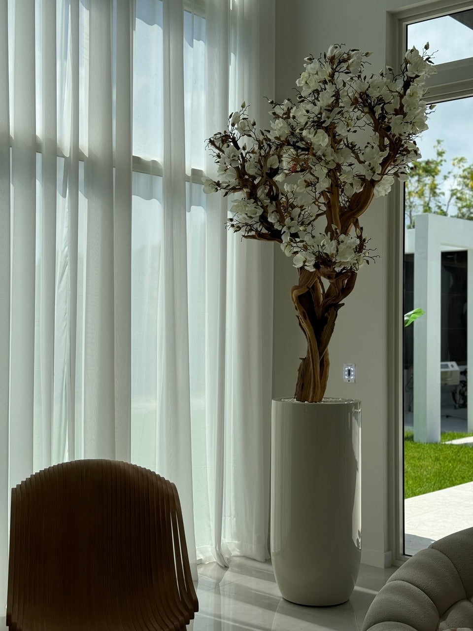 305 Cm Blanc Magnolia Arbre en Brillant Beige St. Tropez Pot