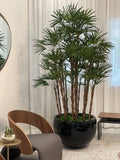 Noir Terragona Pot avec Palmier Rhapis