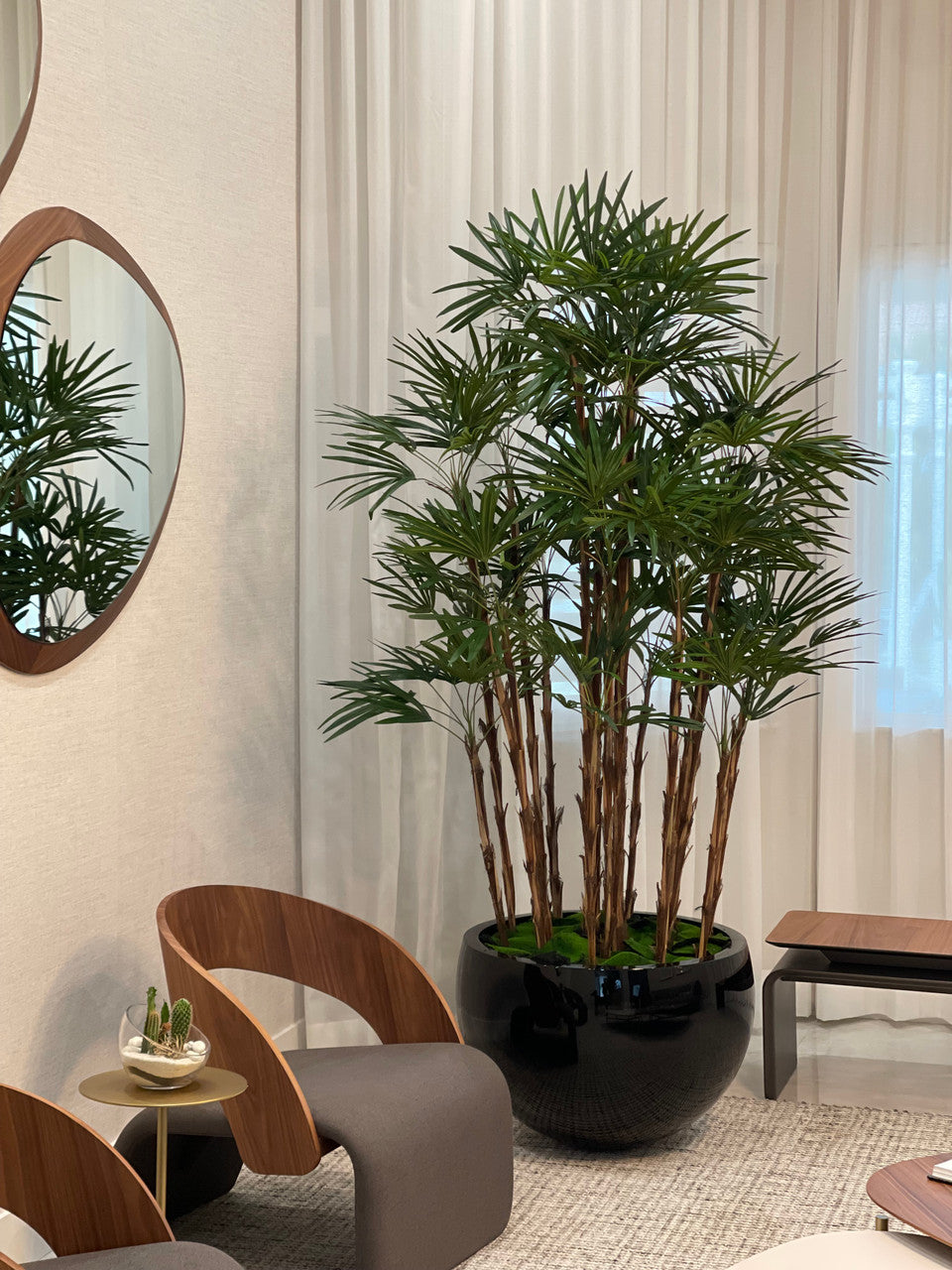 Noir Terragona Pot avec Palmier Rhapis