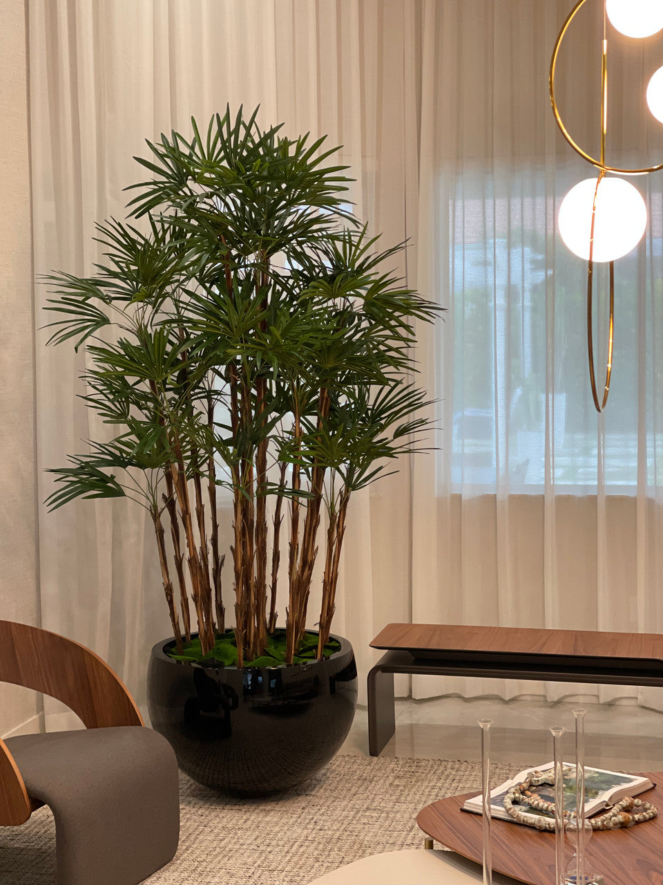 Noir Terragona Pot avec Palmier Rhapis