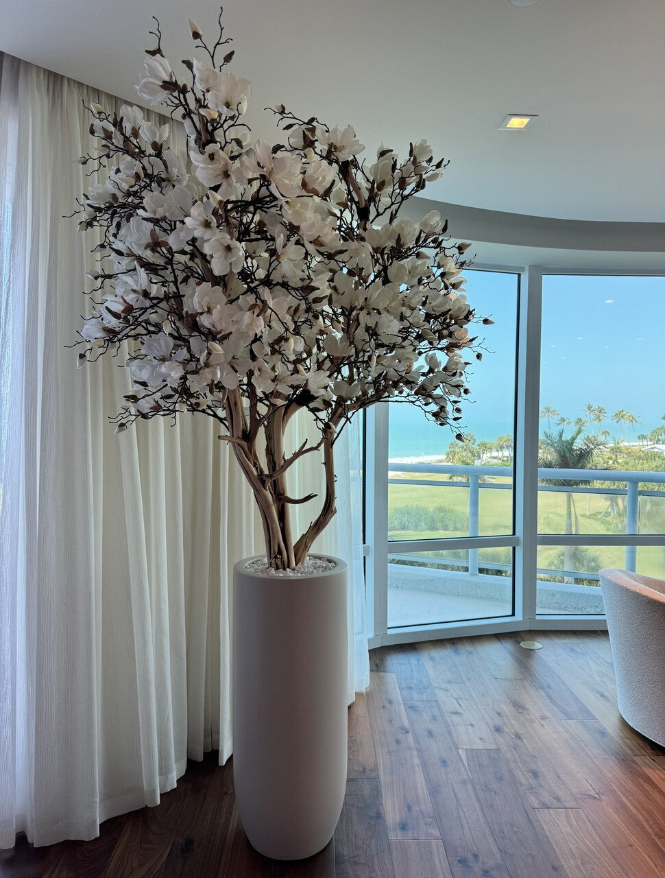 244 Cm Blanc Magnolia Arbre en Mat Beige St. Tropez Pot