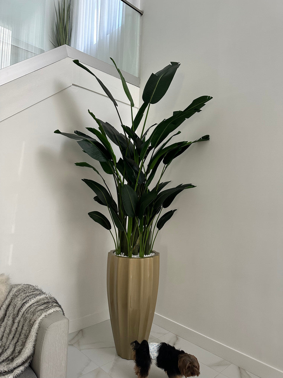 San Jose Fluted Pot en Champagne avec Birds de Paradise