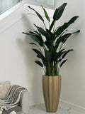 San Jose Fluted Pot en Champagne avec Birds de Paradise