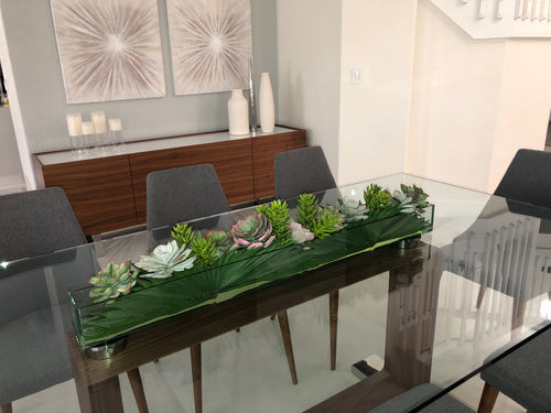 122 Cm Pot Plateau en Verre avec Mélangé Succulentes