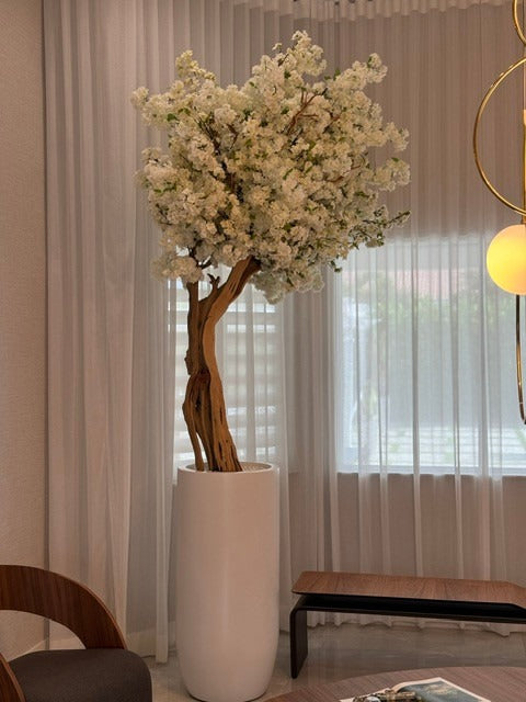 Mat Beige St. Tropez Pot avec Personnalisé Made Blanc Fleurs de Cerisier Arbre