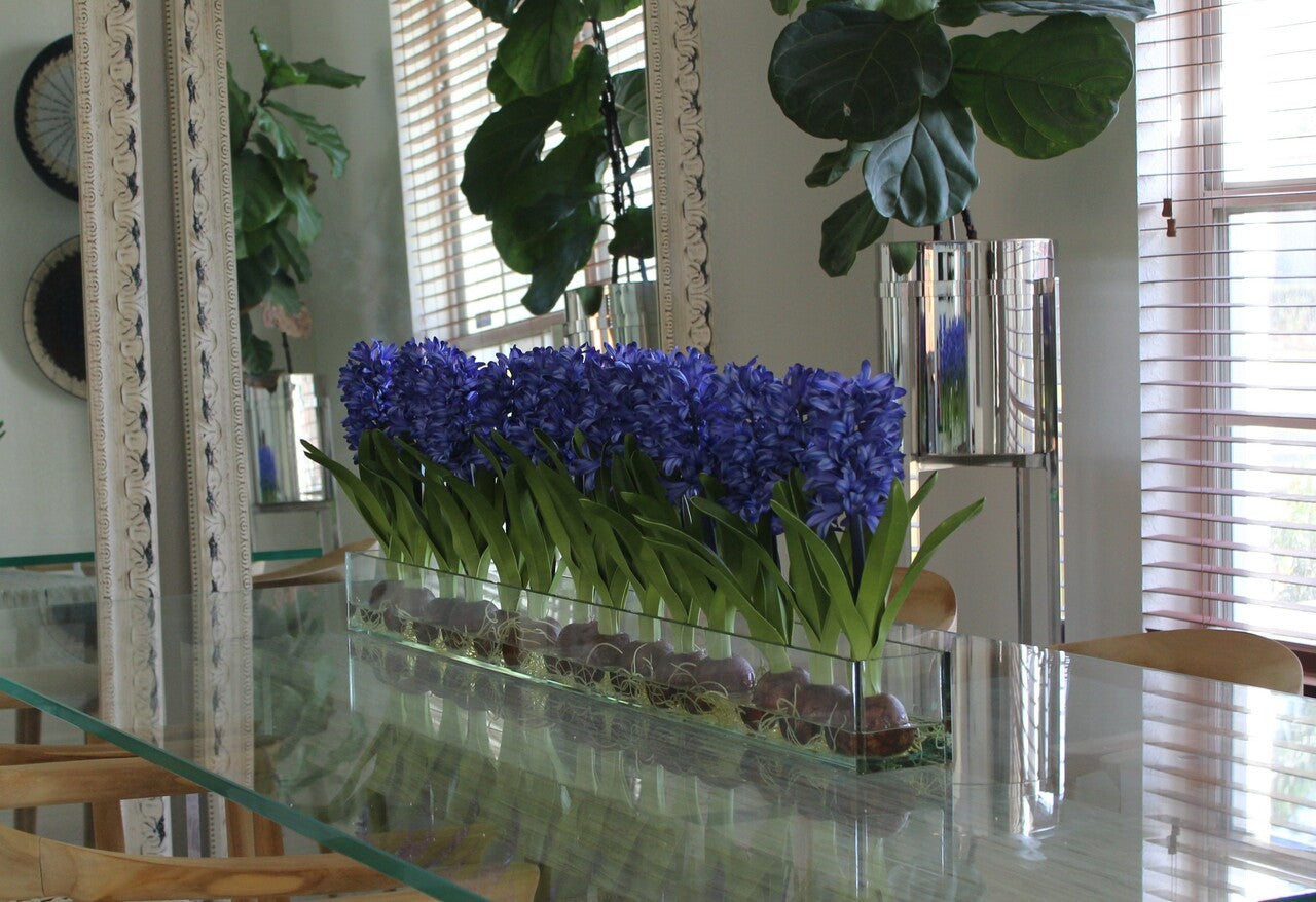 122 Cm Casa Moderna Pot Plateau en Verre avec Bleu Jacinthes