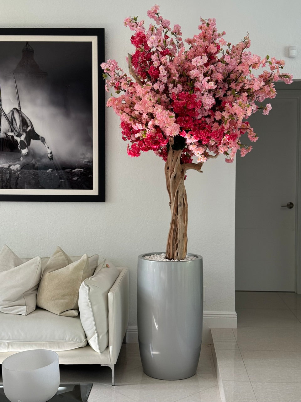 Brillant Argenté Lisbon Pot avec Personnalisé Made Tri Color Rose Fleurs de Cerisier Arbre