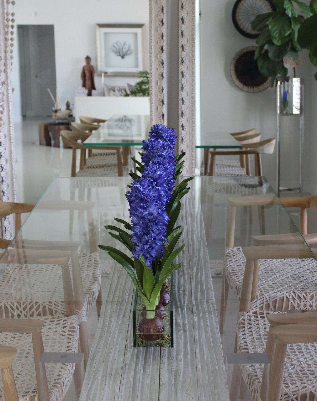 122 Cm Casa Moderna Pot Plateau en Verre avec Bleu Jacinthes